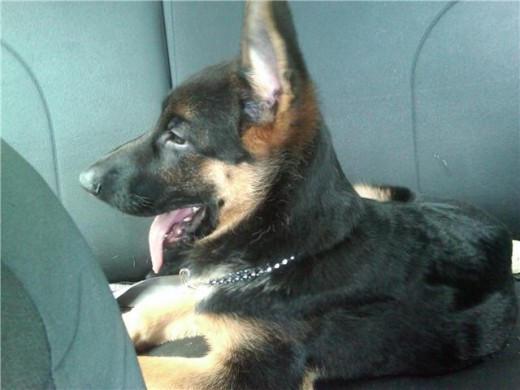 4 meses 4 meses